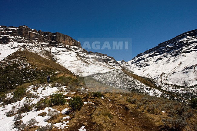 Sani Pass, Drakensbergen, South-Africa stock-image by Agami/Marc Guyt,