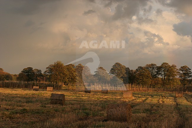 Landerijen in de Oderdelta; Farmland at the Oderdelta stock-image by Agami/Menno van Duijn,