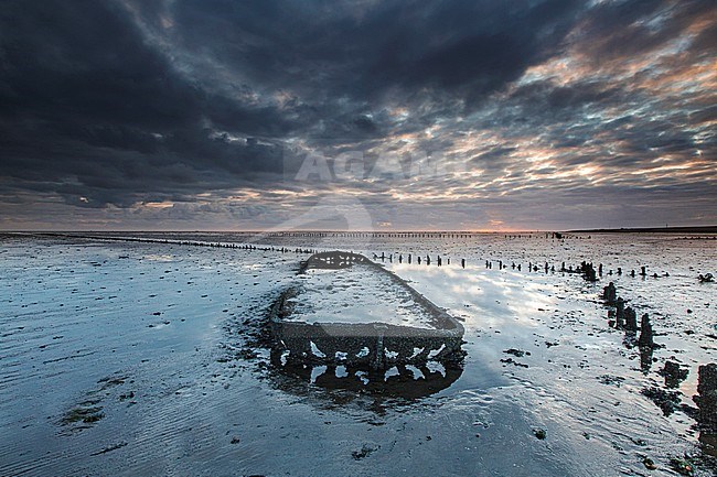 Wreck on the mudflats at wierum. stock-image by Agami/Wil Leurs,