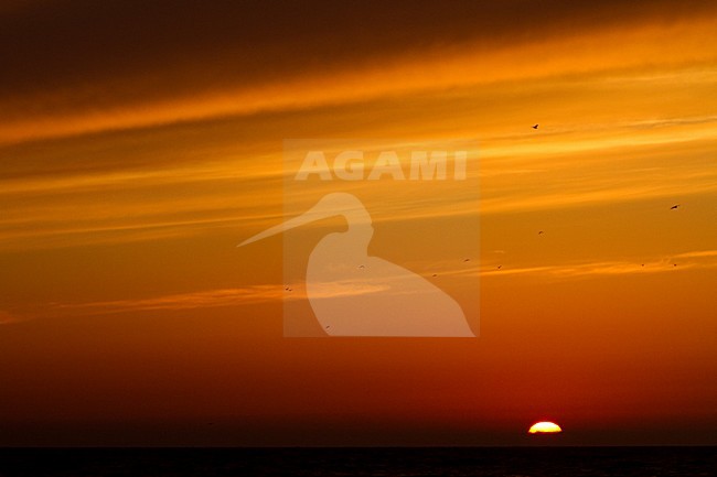 Zonsondergang met aswolken IJsland; Sunset with ashclouds Iceland stock-image by Agami/Menno van Duijn,