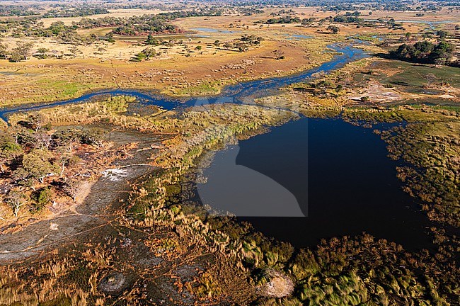 An aerial view of the Okavango Delta. Okavango Delta, Botswana. stock-image by Agami/Sergio Pitamitz,