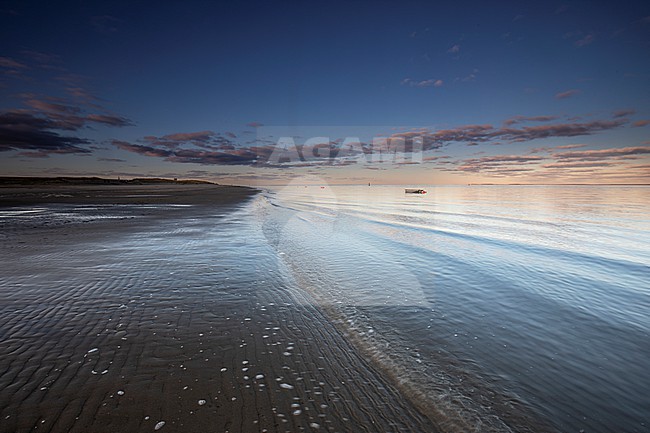 Wadden Sea stock-image by Agami/Wil Leurs,