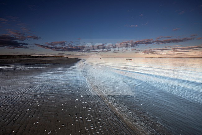 Wadden Sea stock-image by Agami/Wil Leurs,