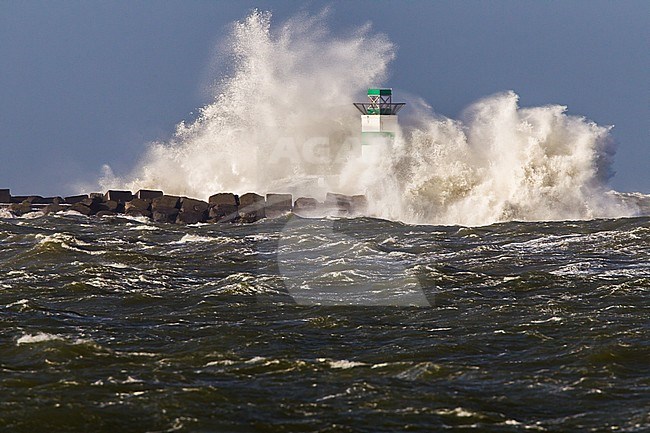 Big waves crashing against the lighthouse at the tip of the pier of Ijmuiden, Netherlands, during severe storm over the North Sea. stock-image by Agami/Menno van Duijn,