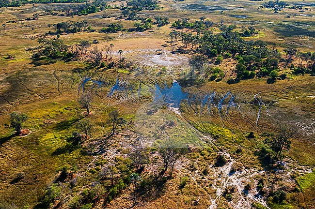 An aerial view of the Okavango Delta. Okavango Delta, Botswana. stock-image by Agami/Sergio Pitamitz,