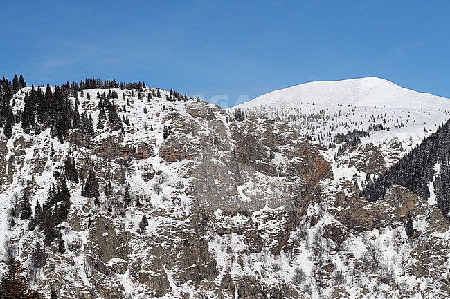 Snow covered Sredna Gora mountains near Koprivshtitsa, Bulgaria. stock-image by Agami/Marc Guyt,