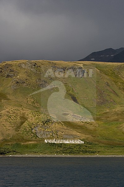  stock-image by Agami/Marc Guyt,