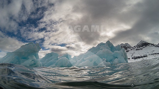 Ice floes in the Arctic sea. Svalbard, Norway stock-image by Agami/Sergio Pitamitz,