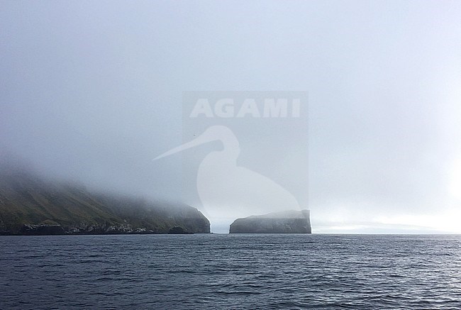 Landscape of the Antipodes islands. A group of inhospitable and uninhabited volcanic islands in subantarctic waters to the south of New Zealand. stock-image by Agami/Marc Guyt,