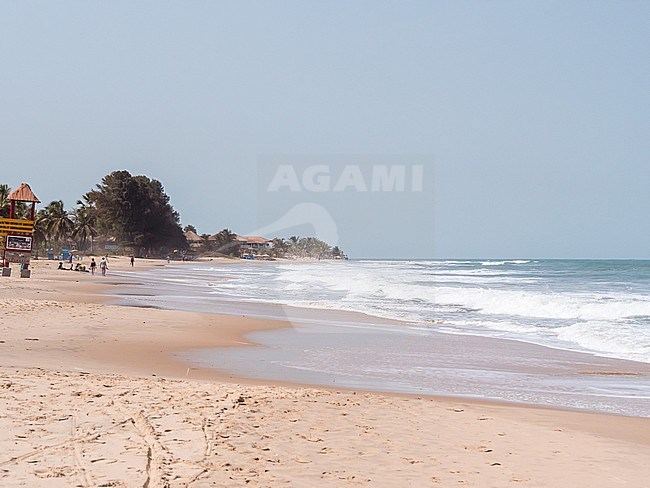 Typical beach landscape in the Gambia. Beautiful stretch of the coast. stock-image by Agami/Hans Germeraad,