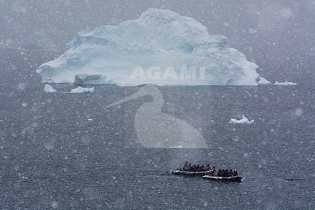 Snowstorm over icebergs in Portal Point, Antarctica. Antarctica. stock-image by Agami/Sergio Pitamitz,