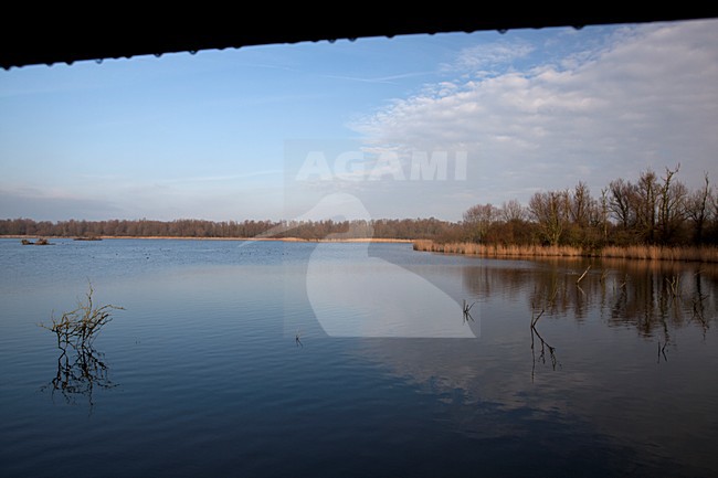 De Lepelaarsplassen stock-image by Agami/Roy de Haas,