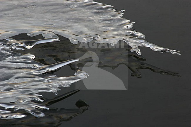 ijsvorming; ice stock-image by Agami/Menno van Duijn,
