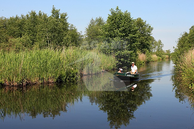 Nationaal Park de Weerribben stock-image by Agami/Jacques van der Neut,