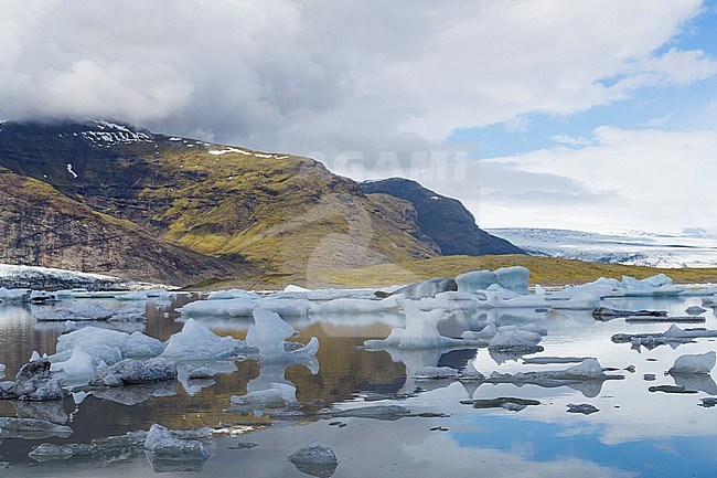 Fjallsárlón Lagoon, floating icebergs in the lagoon with glacier in background stock-image by Agami/Saverio Gatto,