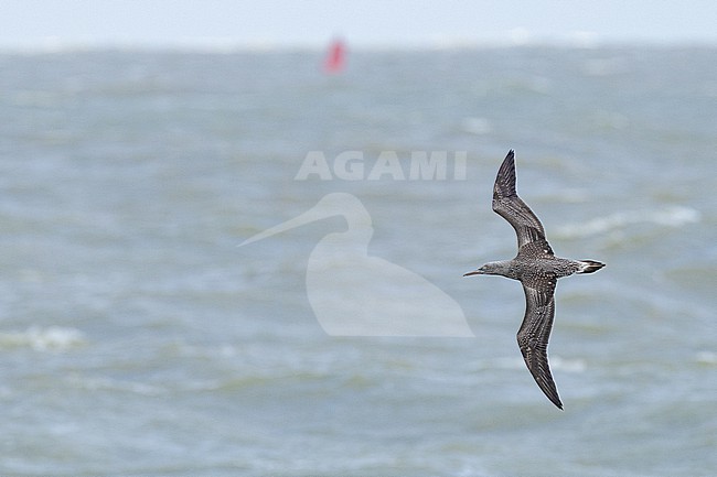  stock-image by Agami/Menno van Duijn,