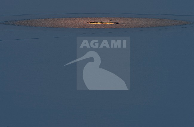 Wak in besneeuwde ijsvlakte, Hole in snow covered icefield stock-image by Agami/Rob de Jong,