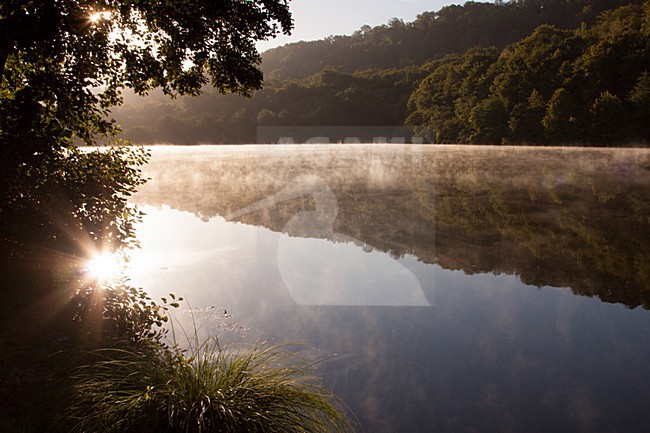 De Moezel (Frankrijk), the river Moezel (France) stock-image by Agami/Theo Douma,