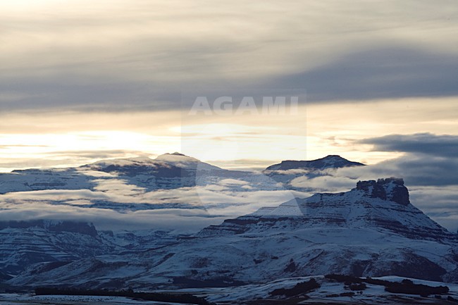 manual updated stock-image by Agami/Marc Guyt,