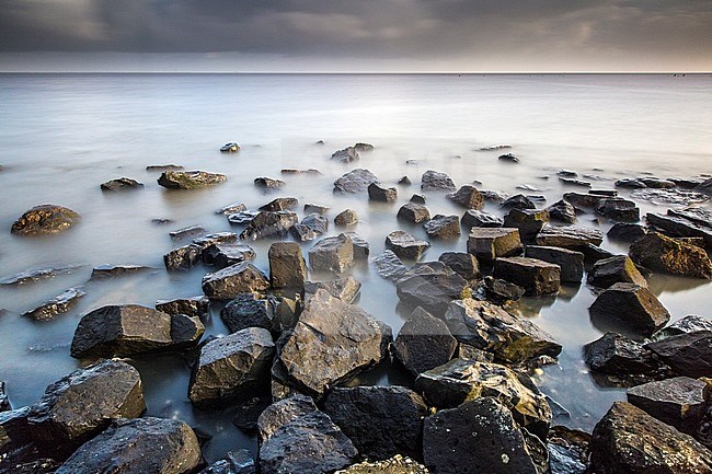 Wierumerwad, Wadden sea stock-image by Agami/Wil Leurs,