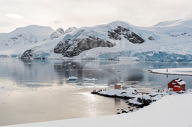 Almirante Brown Argentinian station, Paradise Bay, Antarctica. Antarctica. stock-image by Agami/Sergio Pitamitz,