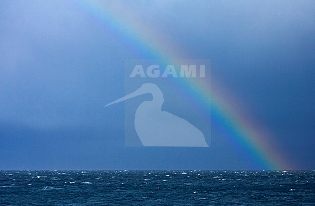 Regenboog Zuid Georgia; Rainbow South Georgia stock-image by Agami/Marc Guyt,