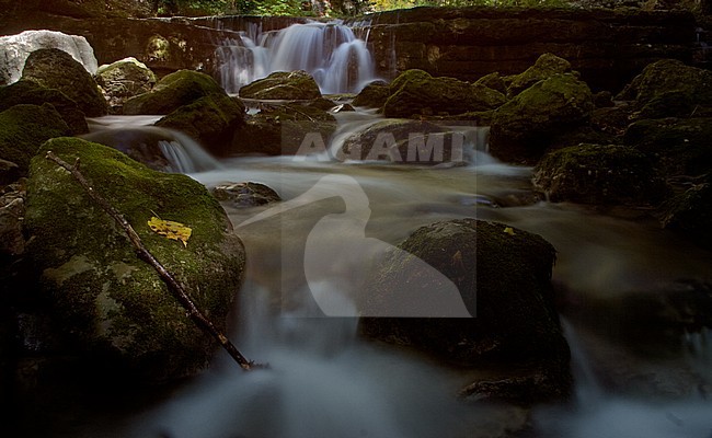 One of the Cascades de Herisson, Jura, France. With many rocks in the fast flowing small rivers. stock-image by Agami/Bas Haasnoot,