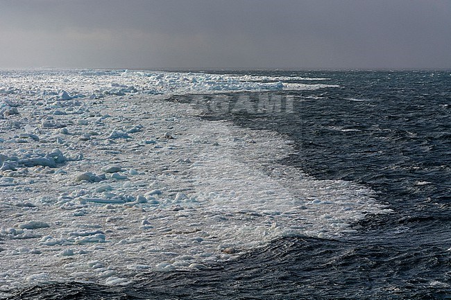 Sea ice at Wahlenberg fjord. Nordaustlandet, Svalbard, Norway stock-image by Agami/Sergio Pitamitz,