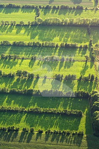 Luchtfoto van boerenland in Friesland; Aerial photo of rural aereas in Friesland stock-image by Agami/Marc Guyt,