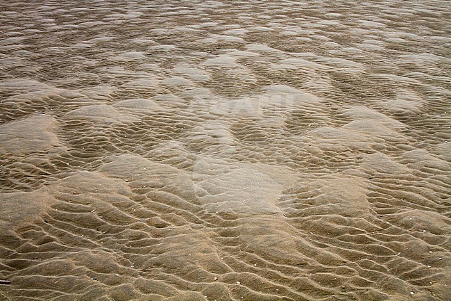 Strand, Katwijk, Netherlands stock-image by Agami/Menno van Duijn,