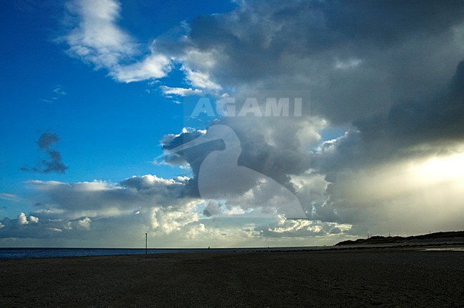 Waddeneiland Vlieland, Nederland / Nederlands stock-image by Agami/Marc Guyt,