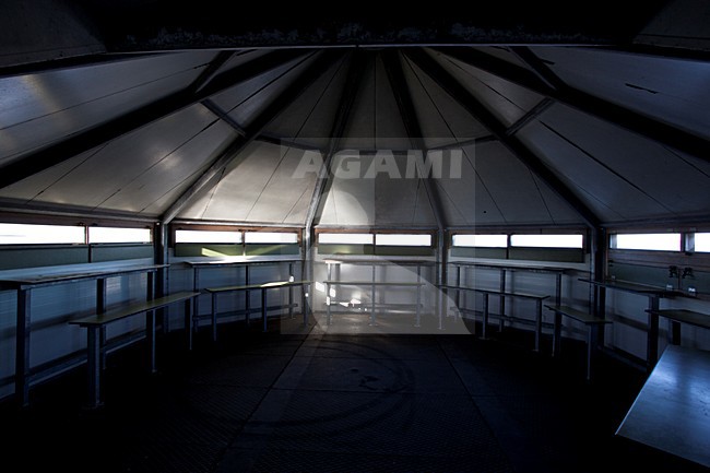 Observatiehut de Grauwe Gans Oostvaardersplassen stock-image by Agami/Roy de Haas,