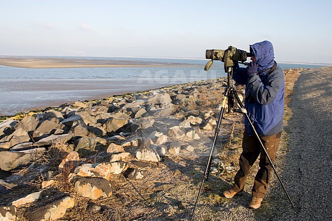 Vogelaar in actie; Birdwatcher in action stock-image by Agami/Arnold Meijer,
