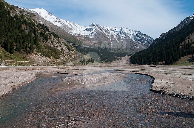 Big Almaty river in Ili-Alatau national park, Kazachstan stock-image by Agami/Arend Wassink,
