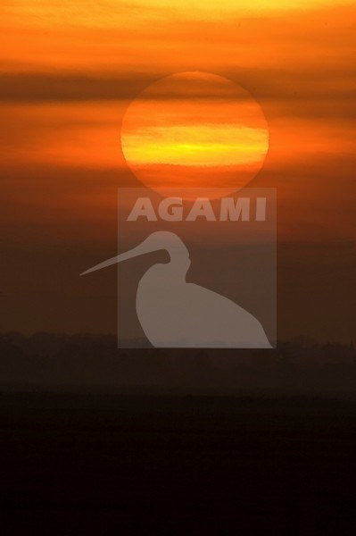 Zonsondergang; Sunset stock-image by Agami/Han Bouwmeester,