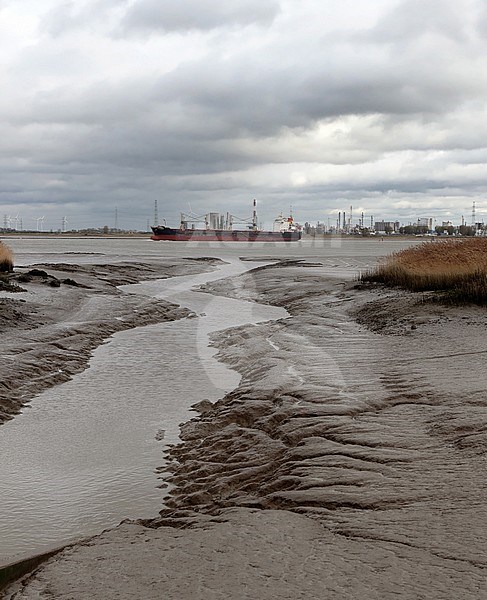 In the Westerschelde there are still considerable tidal differences. stock-image by Agami/Jacques van der Neut,