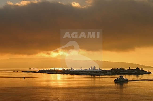 Avond in het Oslofjord; Evening at Oslofjord stock-image by Agami/Kristin Wilmers,
