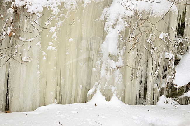  stock-image by Agami/Rob Riemer,