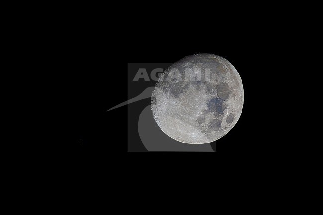 stock-image by Agami/Vincent Legrand,