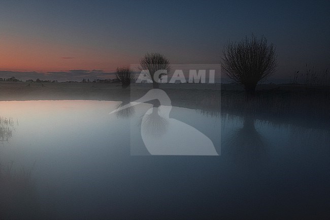  stock-image by Agami/Wil Leurs,