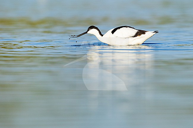  stock-image by Agami/Menno van Duijn,