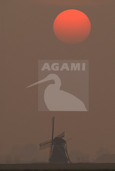 zonsondergang Lauwersmeer, Nederland; sunset Lauwersmeer, Netherlands stock-image by Agami/Han Bouwmeester,