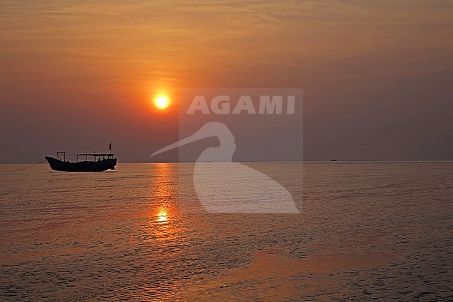 Rudong mud flats with evening sun stock-image by Agami/Pete Morris,