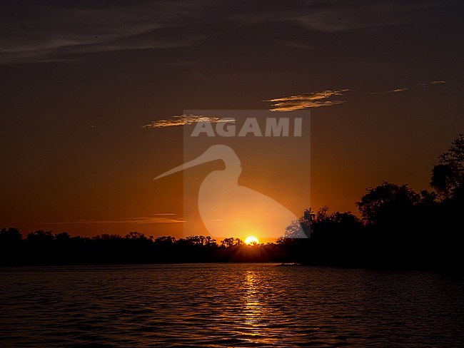 Typical landscape in the Gambia. Sunset over the Senegal river. stock-image by Agami/Hans Germeraad,