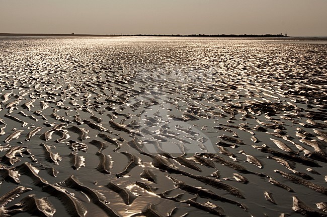 Noordzee strand op Texel Nederland, North sea beach at Texel Netherlands stock-image by Agami/Wil Leurs,