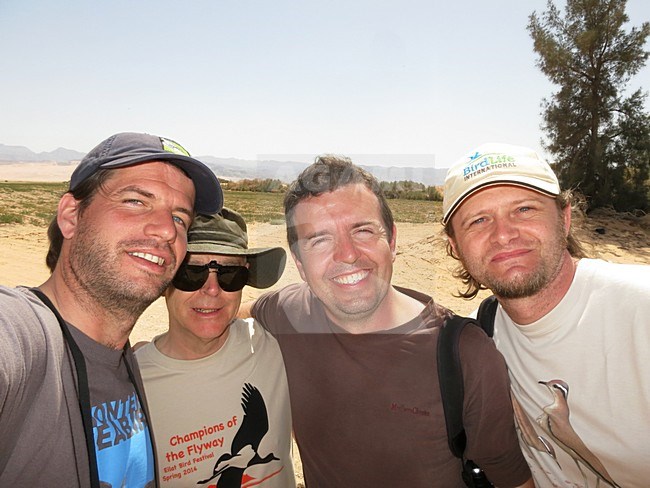Team Focusing on Wildlife Sprinters, Champions of the Flyway, Eilat, 2014 stock-image by Agami/Marc Guyt,