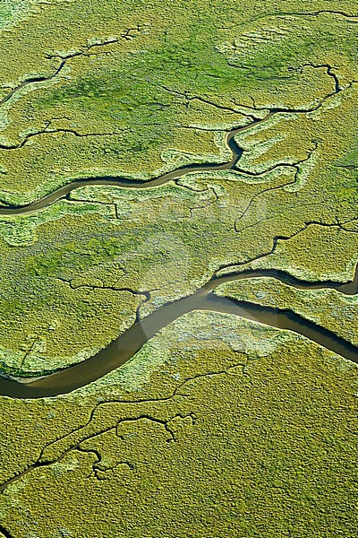  stock-image by Agami/Marc Guyt,