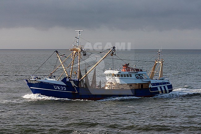 Vissersboot varend op Waddenzee; Fishing Boat cruising at Wadden sea stock-image by Agami/Marc Guyt,
