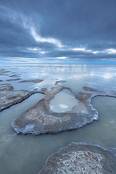 Frozen Wadden Sea stock-image by Agami/Wil Leurs,