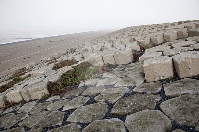 Hondsbosche Zeewering bij Camperduin; Hondsbosche Zeewering at Camperduin stock-image by Agami/Kristin Wilmers,